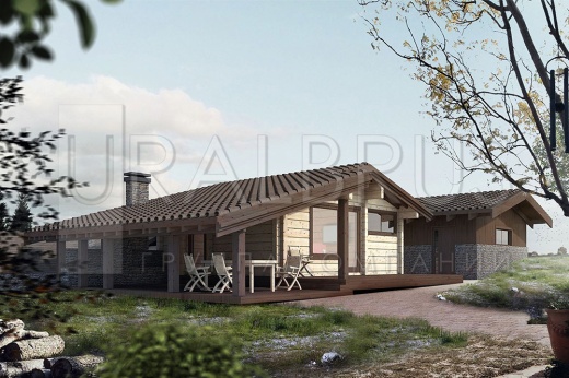 ���� �� ����� ������